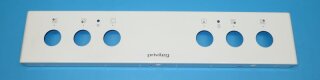 Schalterblende Ng603 6-33 070