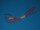 Kabel Ra-Mo-Rb-R34 Td60.C