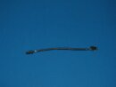 Berater 90 Grau 20Awg B8 A9 U-U Td